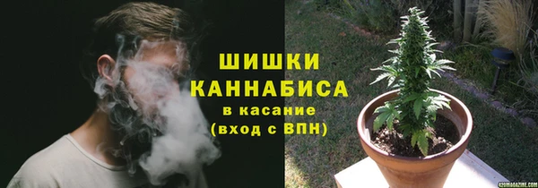 ПСИЛОЦИБИНОВЫЕ ГРИБЫ Бронницы