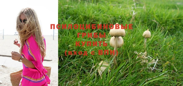 ПСИЛОЦИБИНОВЫЕ ГРИБЫ Бронницы
