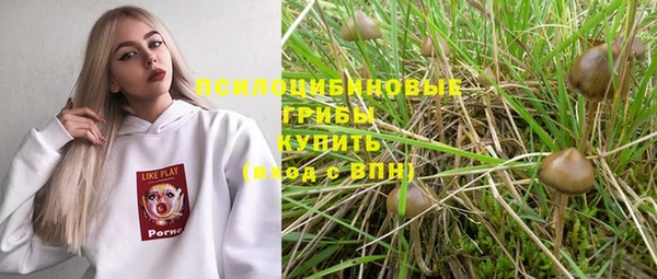 ПСИЛОЦИБИНОВЫЕ ГРИБЫ Бронницы