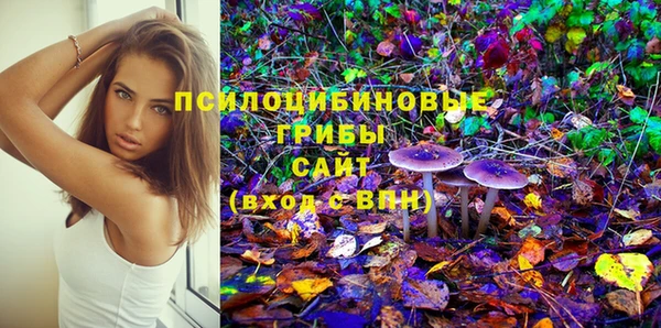 ПСИЛОЦИБИНОВЫЕ ГРИБЫ Бронницы