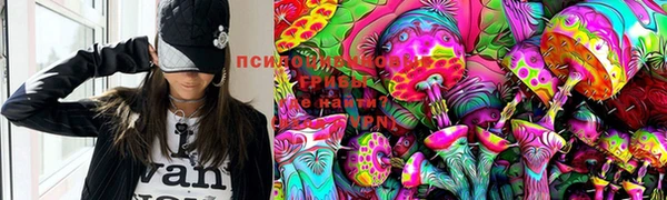 ПСИЛОЦИБИНОВЫЕ ГРИБЫ Бронницы