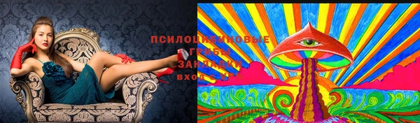 ПСИЛОЦИБИНОВЫЕ ГРИБЫ Бронницы
