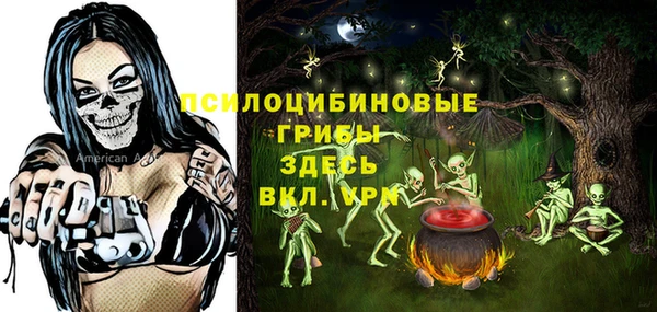 герыч Бородино