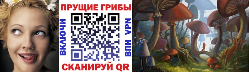 Галлюциногенные грибы прущие грибы Эртиль
